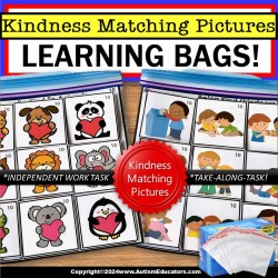 Special Education Learning Bag for Autism | Picture Matching Kindness Activities